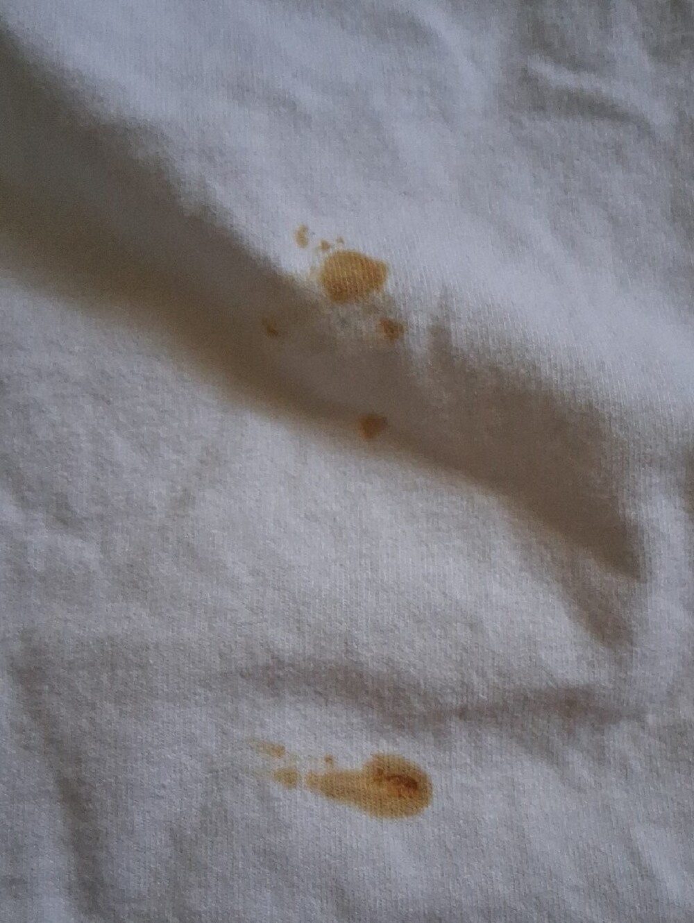 Hollister White Crew Tee with Maroon Seagull Logo - Picture 3 of 3